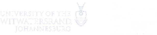 University of the Witwatersrand